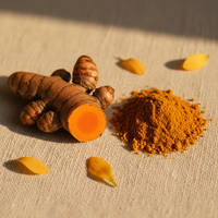 Lakadong turmeric root and powder – key ingredient