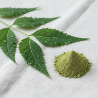 Neem leaves with green powder – key ingredient